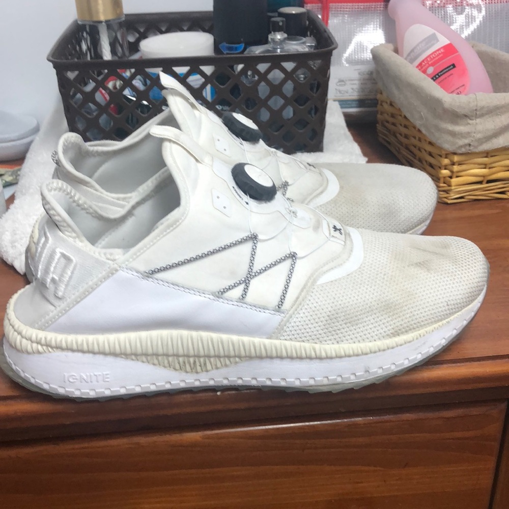 pumas